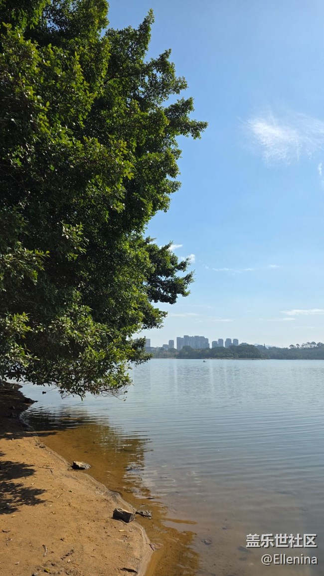 【活動回顧】周日松山湖S25E品鑒+野餐活動