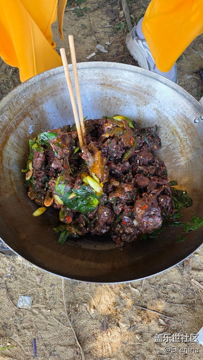 【活動回顧】周日松山湖S25E品鑒+野餐活動