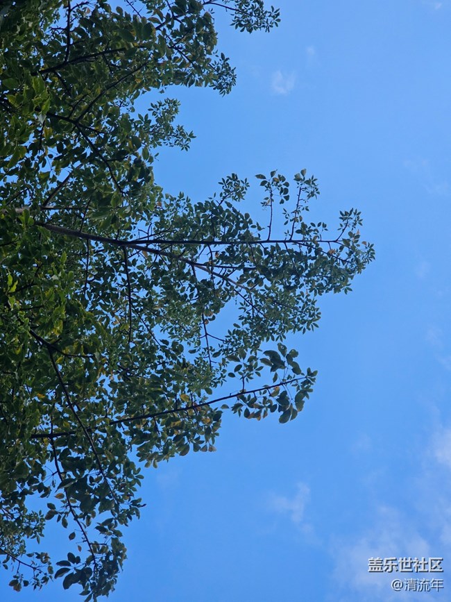 【全鏡影像】好天氣