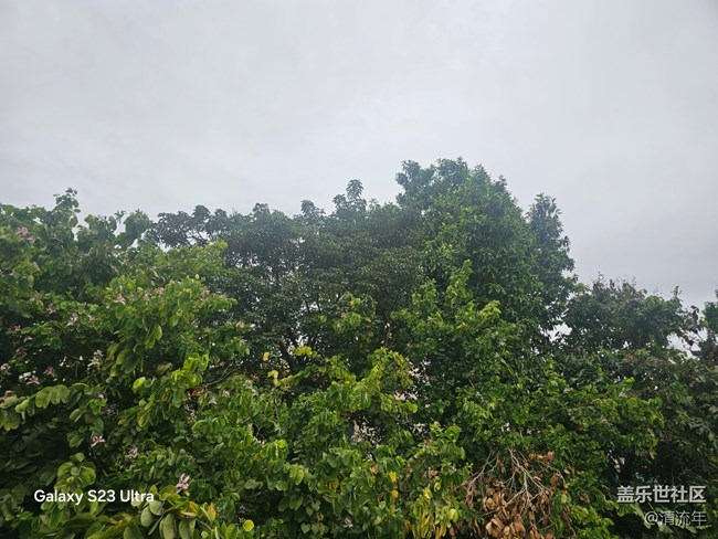 【鵬城尋冬記】11月