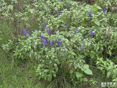 【色彩對話】+戶外色彩