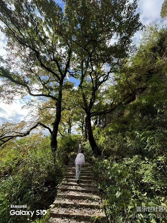 【鵬城尋冬記】初冬隨拍