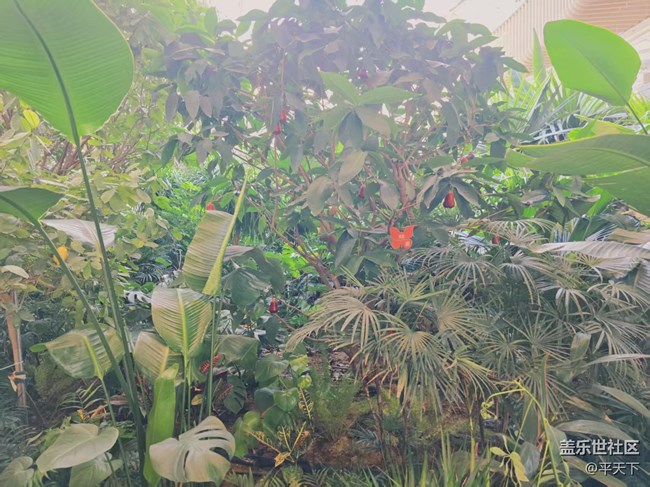 【葉落成詩】冬天也有春意