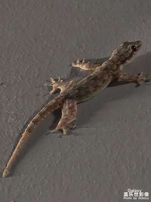 【拍有意境】+猜猜是哪