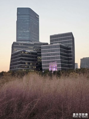 江煙草色共秋夕