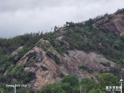 所見皆所得，所得皆所愿