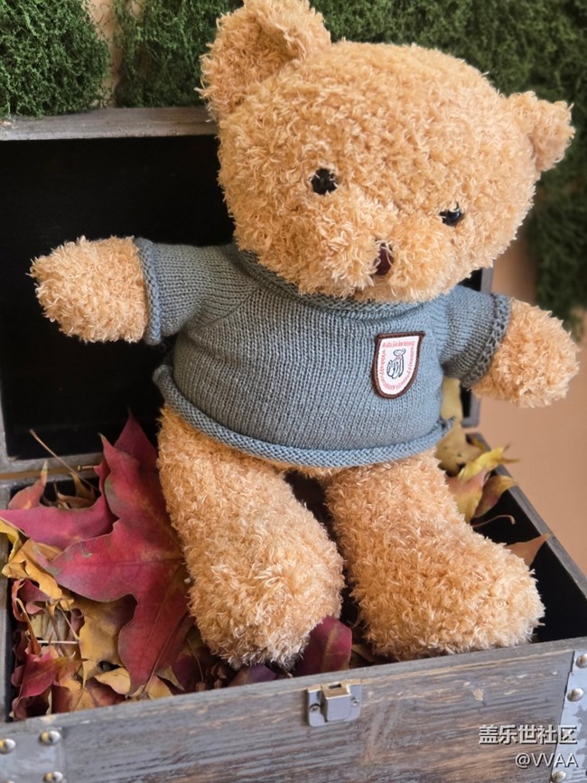 【葉落成詩】紅葉松果