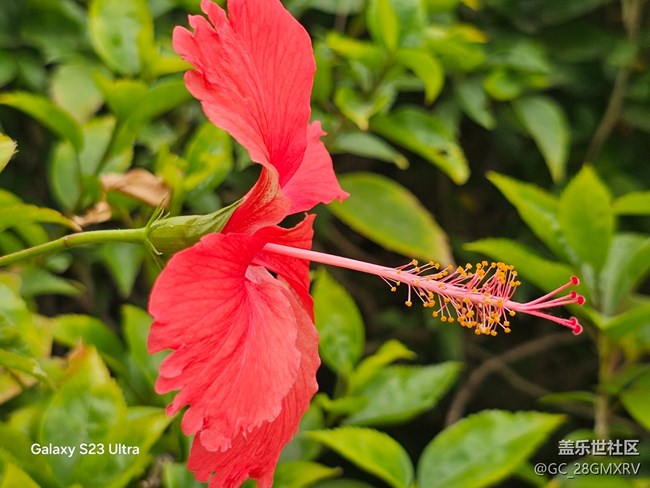 【鵬城尋冬記】路上風(fēng)景