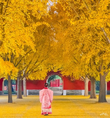 Galaxy S23 Ultra 走進秋天（三）