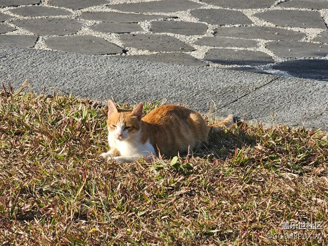 【尋找生活中的溫暖】溫暖時刻