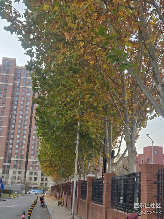 【葉落成詩】月末的清晨