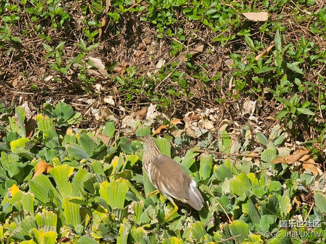【尋找生活中的溫暖】溫暖時刻