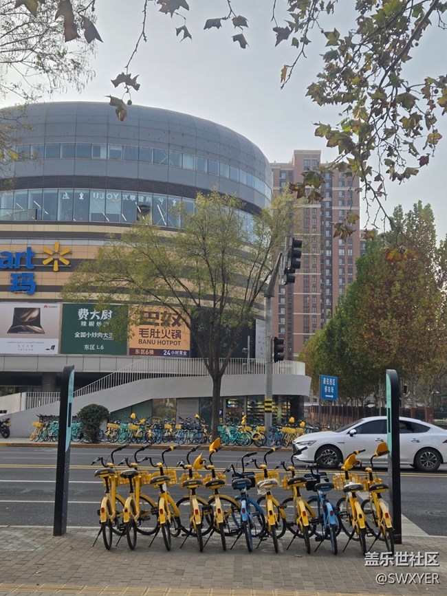 【葉落成詩】月末的清晨