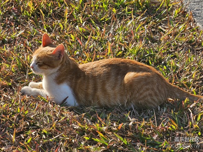 【尋找生活中的溫暖】溫暖時刻