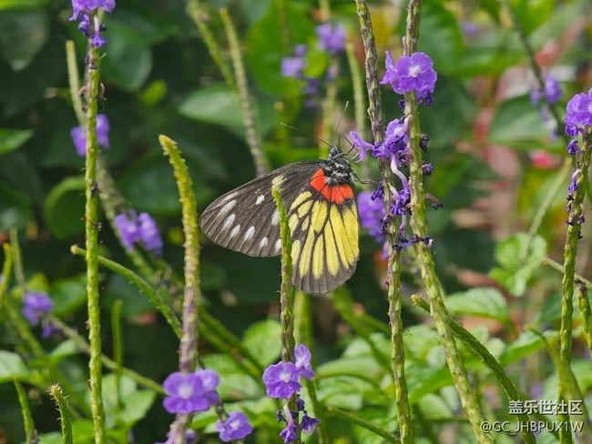 【尋找生活中的溫暖】溫暖時刻