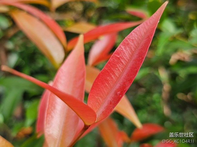 【尋找生活中的溫暖】溫暖的下午