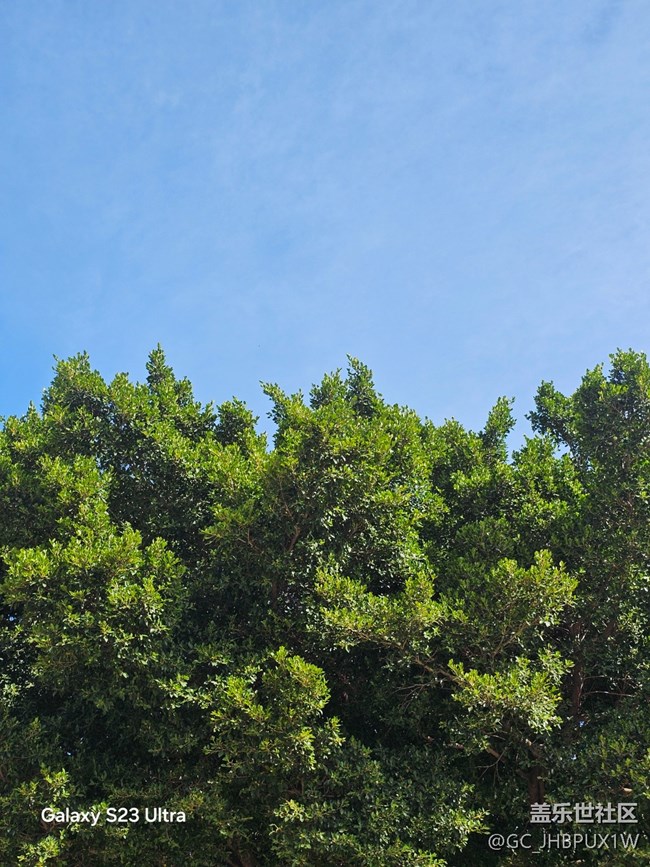 【鵬城尋冬記】11月的時(shí)光