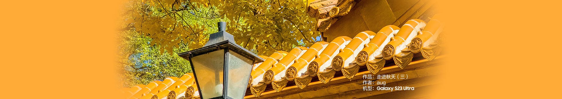 Galaxy S23 Ultra 走进秋天（三）