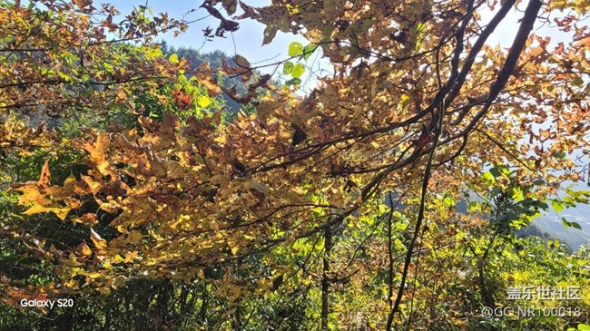 【鵬城尋冬記】收獲秋天