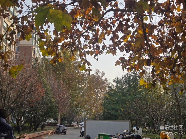 【葉落成詩】月末的清晨