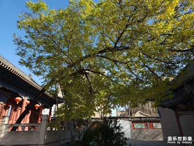 【拍有意境】+關岳行宮