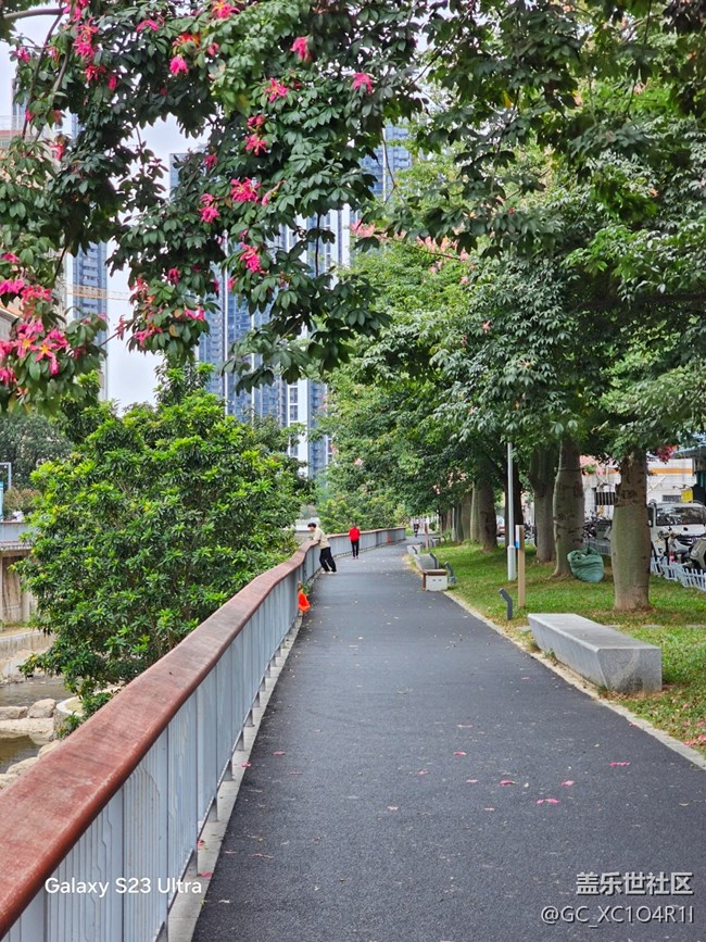 【鵬城尋冬記】尋冬