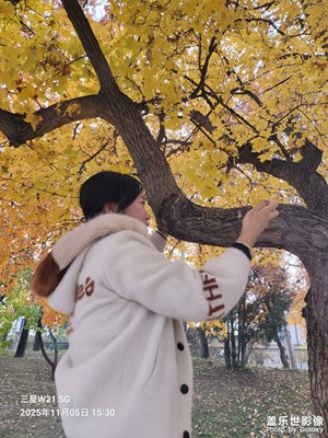 【拍有意境】秋意盎然