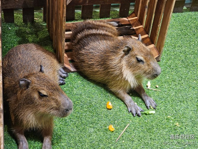 【尋找生活中的溫暖】溫暖的下午