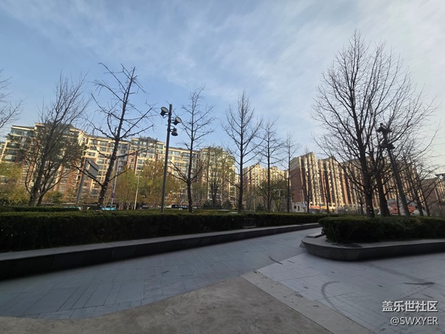 【葉落成詩】月末的清晨