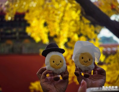 【拍有意境】+秋景