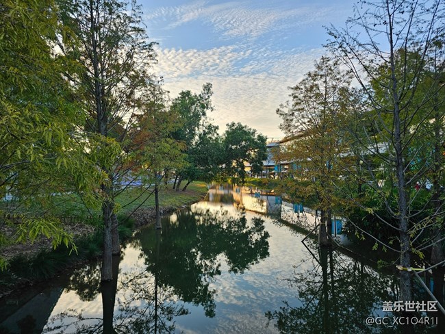 【尋找生活中的溫暖】溫暖的下午