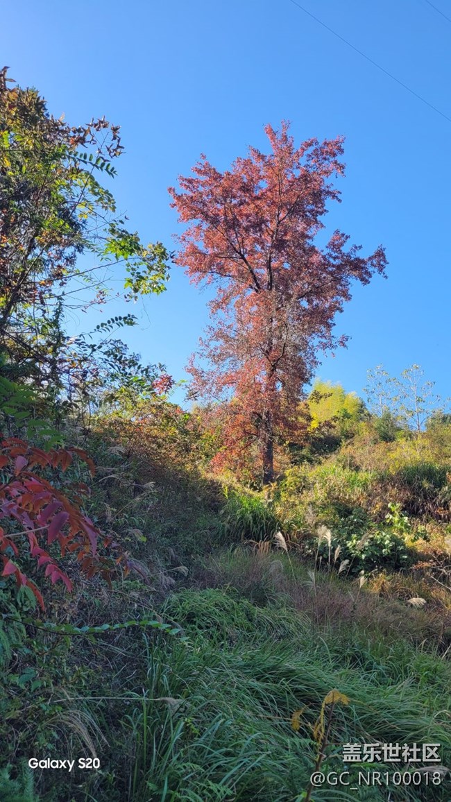 【鵬城尋冬記】收獲秋天