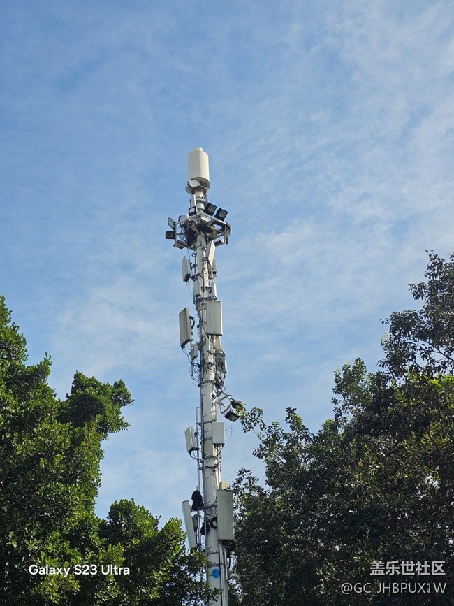 【鵬城尋冬記】11月的時(shí)光