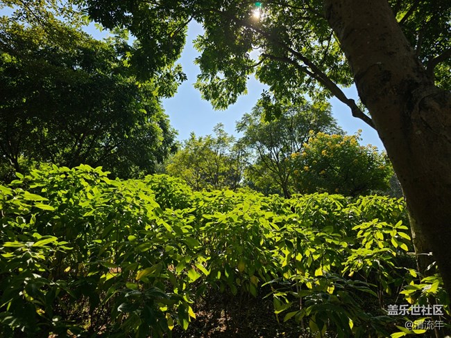 【簡而美】平淡