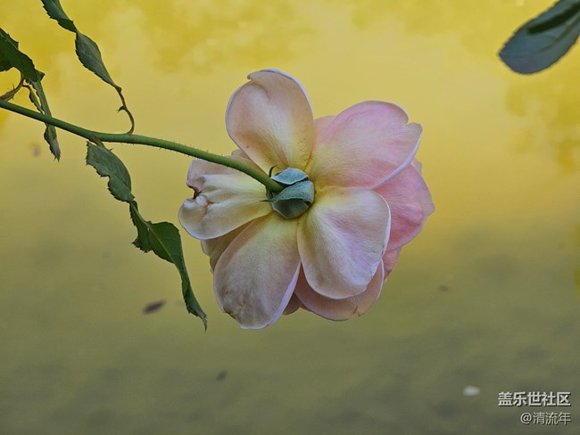 【尋找生活中的溫暖】溫暖瞬間