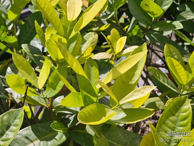 【簡(jiǎn)而美】生活痕跡