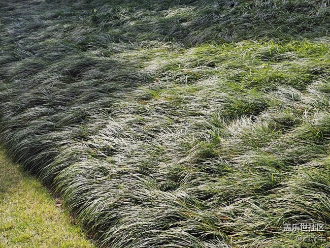 【落葉成詩】公園