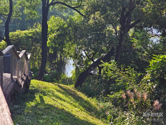 【簡而美】簡單的一天