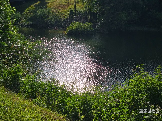 【簡而美】水中美