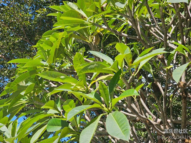 【簡而美】上午戶外游