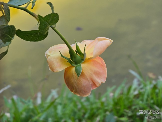 【尋找生活中的溫暖】溫暖瞬間