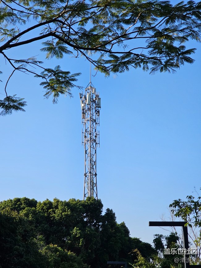 【簡而美】簡單的一天