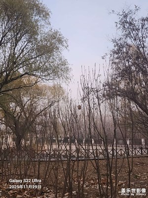 拍有意境 初冬早晨