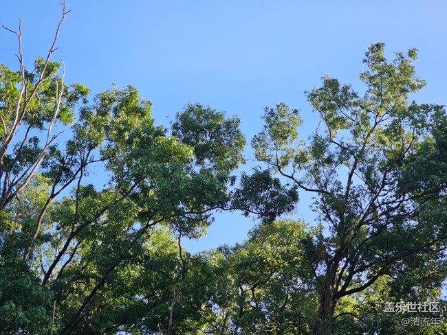 【光影里的故事】光影故事