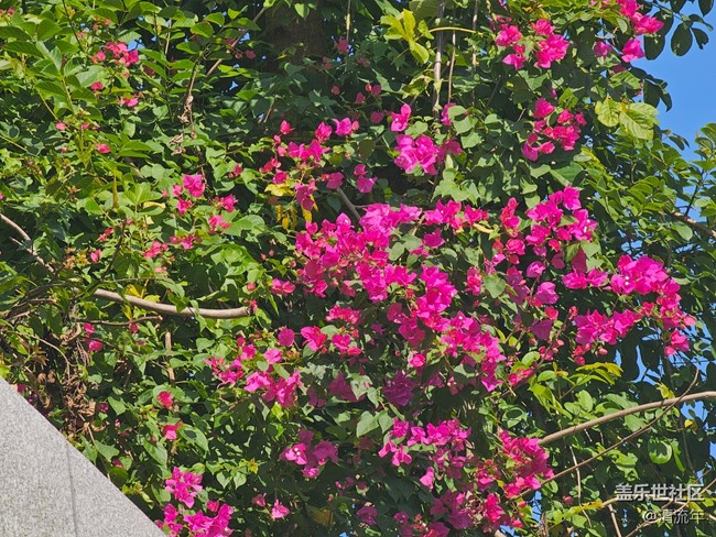 【簡而美】平淡