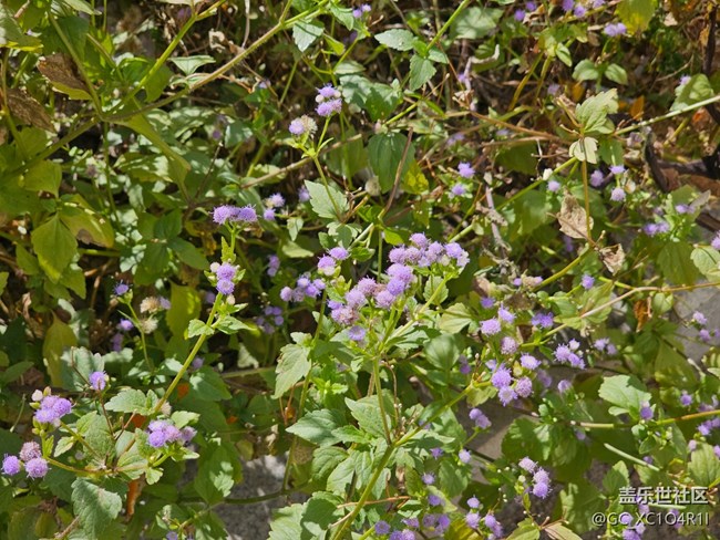 【簡而美】上午戶外游