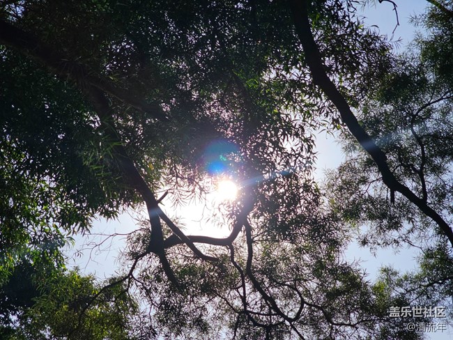 【光影里的故事】光影故事