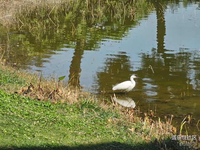 【尋找生活中的溫暖】溫暖瞬間