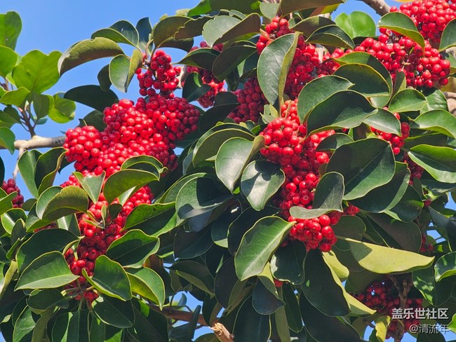 【簡而美】平淡