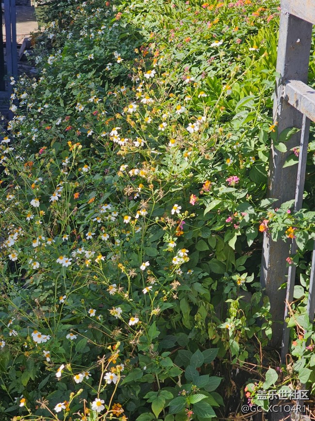 【簡而美】上午戶外游